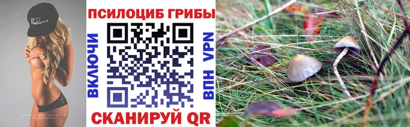 Галлюциногенные грибы Cubensis  Купить  Кириши 